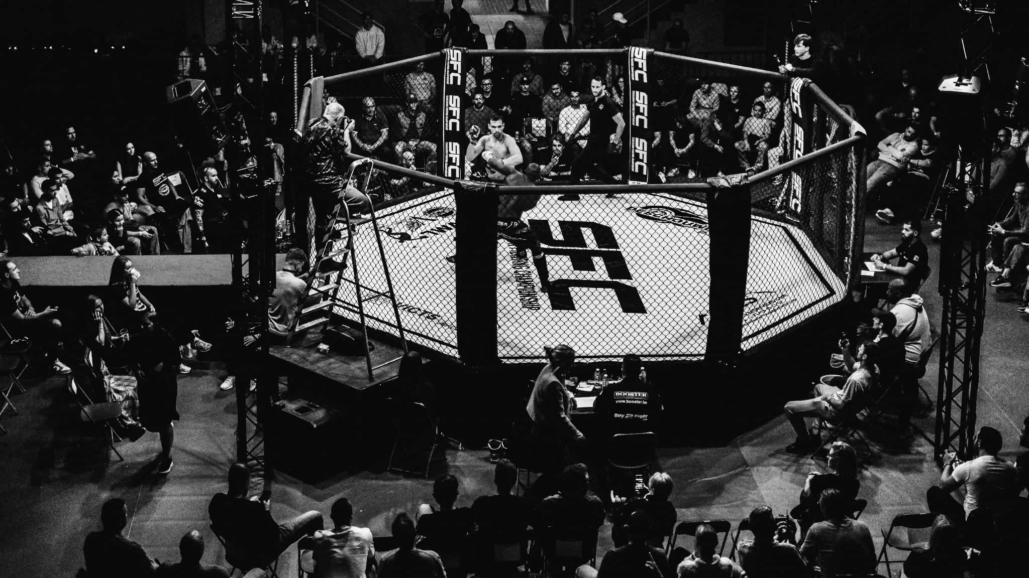 Fight Night